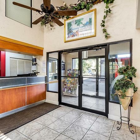 Econo Lodge Palm Harbor - Clearwater Екстер'єр фото