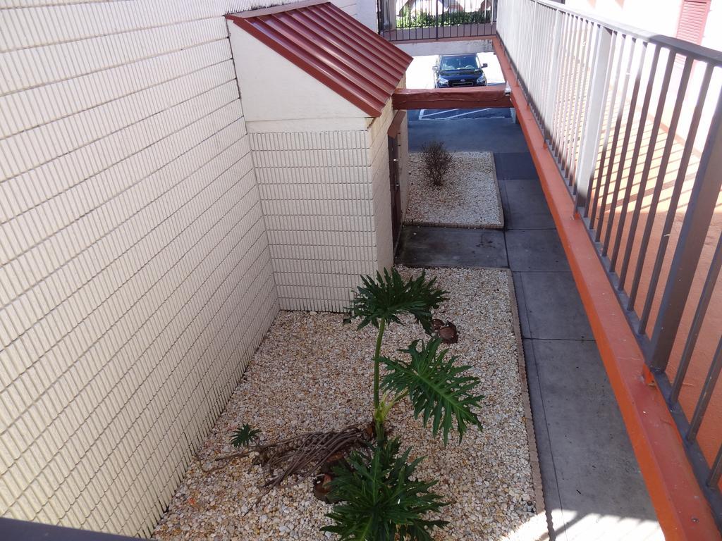 Econo Lodge Palm Harbor - Clearwater Екстер'єр фото